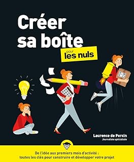 Créer sa boîte pour les Nuls, grand format, édition augmentée - guide, statut, financement, marché