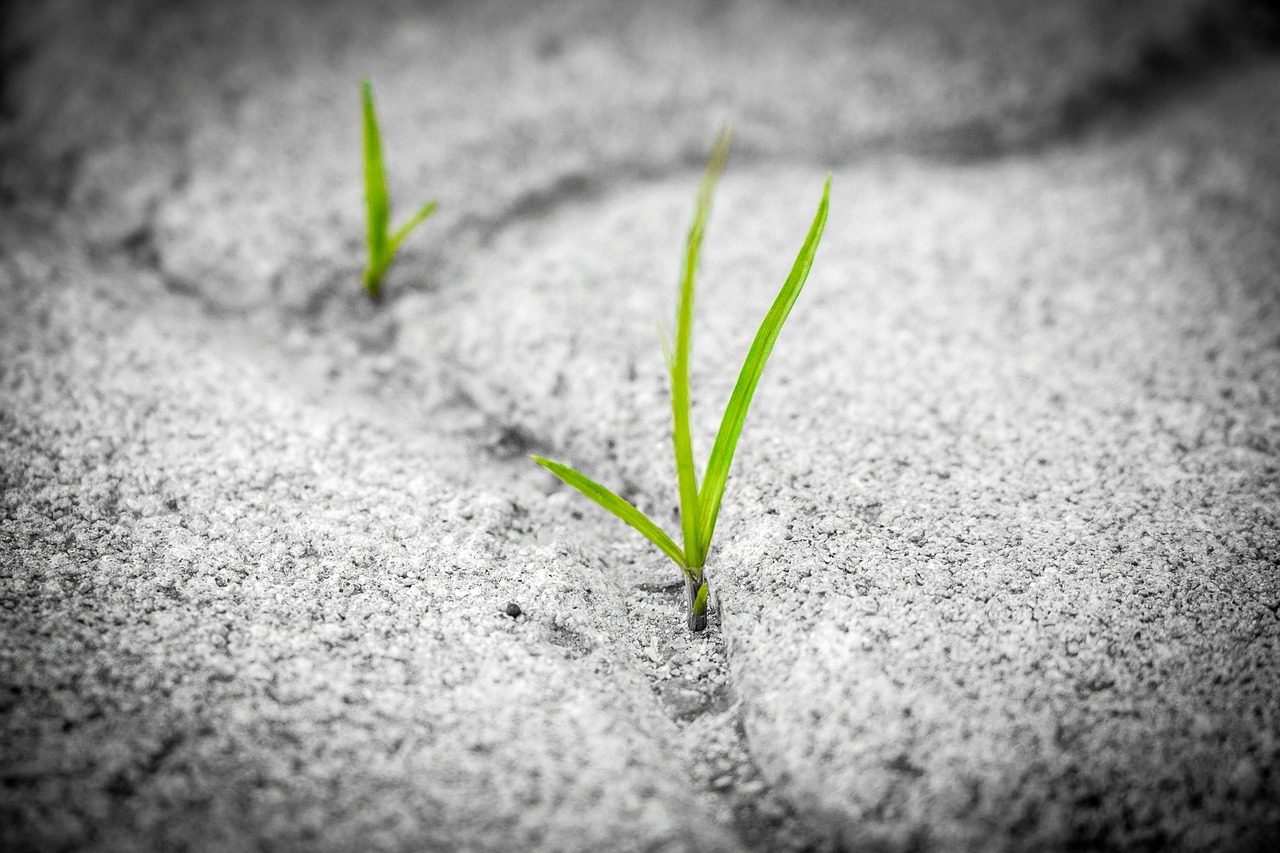Quels sont les secrets des entrepreneurs qui rebondissent après un échec ? découvrez le concept de résilience, sa signification, son importance dans la vie personnelle et professionnelle, et comment développer cette capacité à surmonter les défis.